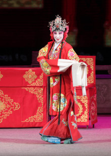 上党落子《搜杜府》